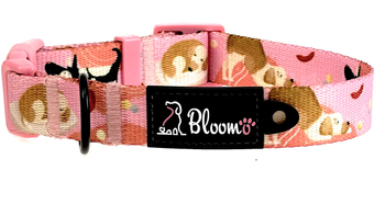 OBROŻA DLA PSA FRANCUSKI PIESEK S / 2,5CM