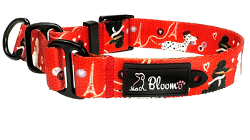 OBROŻA PÓŁZACISKOWA DLA PSA MON CHÉRI XS / 2CM