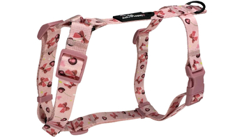 SZELKI DLA PSA GUARD CHERRY XS / 2CM