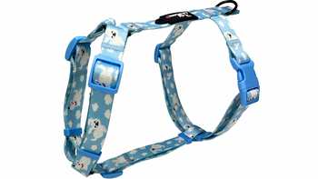 SZELKI DLA PSA GUARD CHMURKOPIESKI XL / 2,5CM