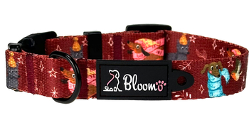 OBROŻA DLA PSA WINTER WOOFS S / 2,5CM