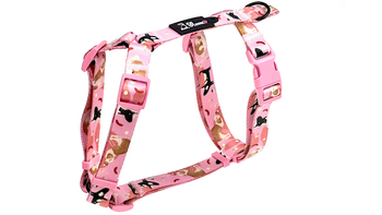 SZELKI DLA PSA GUARD FRANCUSKI PIESEK S / 2CM