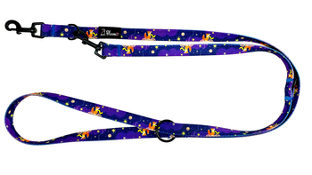 SMYCZ PRZEPINANA DLA PSA MAŁY PSIĄŻĘ I GWIAZDY 300CM / 2,5CM